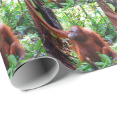 Orang-Utan Geschenkpapier (Rolleneckpunkt)