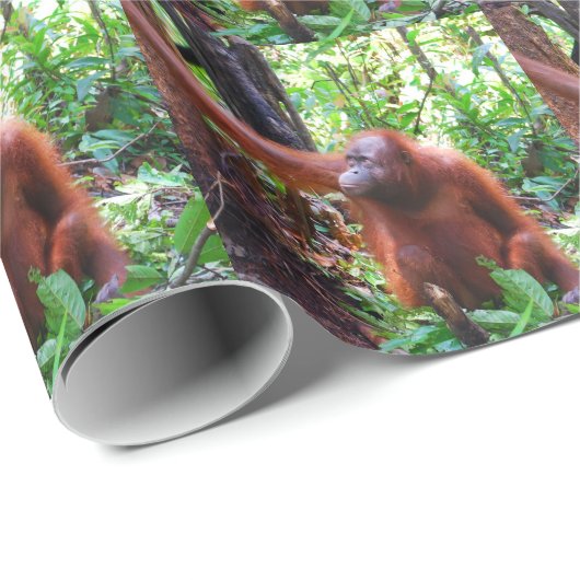 Orang-Utan Geschenkpapier (Rolleneckpunkt)