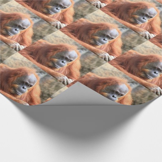Orang-Utan Geschenkpapier (Ecke)
