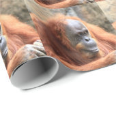 Orang-Utan Geschenkpapier (Rolleneckpunkt)