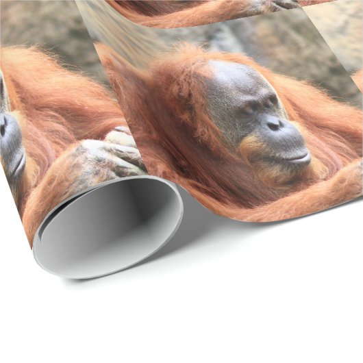 Orang-Utan Geschenkpapier (Rolleneckpunkt)