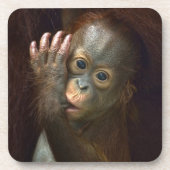 Orang-Utan Getränkeuntersetzer (Vorderseite)