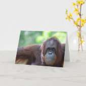 Orang-Utan Gruß-Karte Karte (Gelbe Blume)