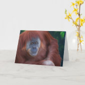 Orang-Utan Gruß-Karte Karte (Gelbe Blume)