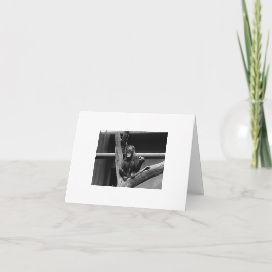 Orang-Utan Karte (Vorderseite)