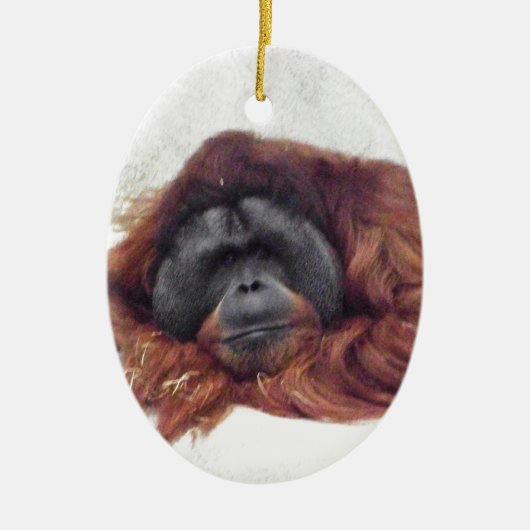 Orang-Utan Keramik Ornament (Vorne)