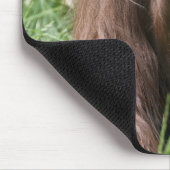 Orang Utan Lady Mousepad (Ecke)
