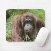Orang Utan Lady Mousepad (Mit Mouse)