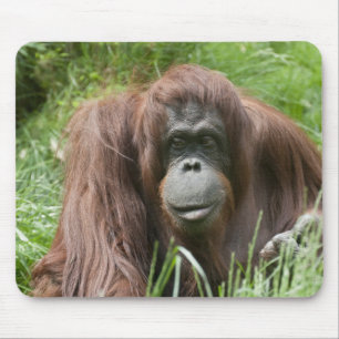 Orang Utan Lady Mousepad