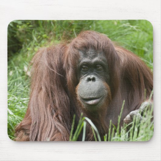 Orang Utan Lady Mousepad (Vorne)