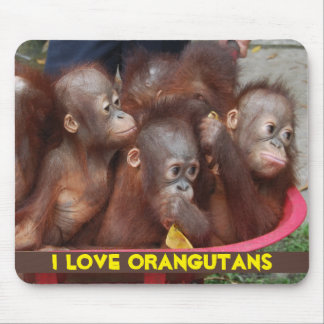 Orang-Utan Liebe Mousepad
