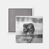 Orang-Utan Magnet (Vorderseite/Rückseite)