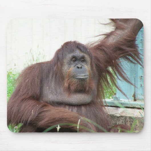 Orang-Utan Mousepad (Vorne)