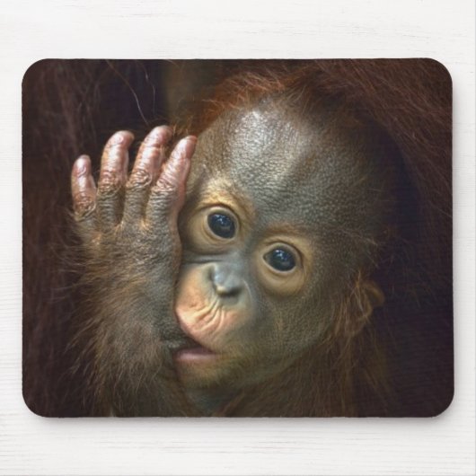 Orang-Utan Mousepad (Vorne)