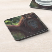 Orang-Utan Mutter mit Baby Getränkeuntersetzer (Linke Seite)