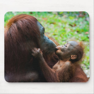 Orang-Utan-Mutter mit Baby Mousepad