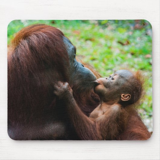 Orang-Utan-Mutter mit Baby Mousepad (Vorne)