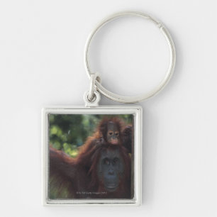 Orang-Utan Mutter mit Baby Schlüsselanhänger