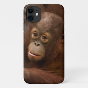 Orang-Utan-Mutter und Baby im Zoo Case-Mate iPhone Hülle