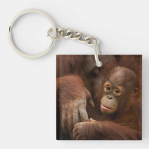 Orang-Utan-Mutter und Baby im Zoo Schlüsselanhänger