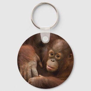 Orang-Utan-Mutter und Baby im Zoo Schlüsselanhänger