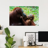 Orang-Utan Mutter und Baby Poster (Heimbüro)