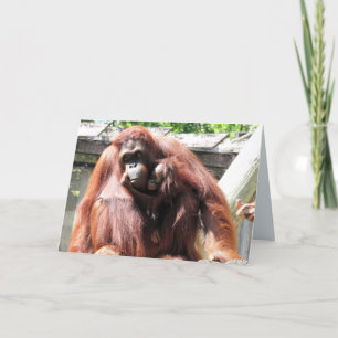 Orang-Utan Muttertagskarte Karte