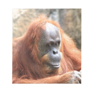 Orang-Utan Notizblock