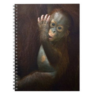 Orang-Utan Notizblock
