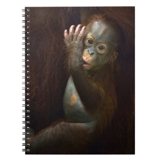 Orang-Utan Notizblock (Vorderseite)