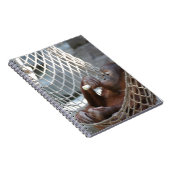 Orang-Utan Notizblock (Rechte Seite)