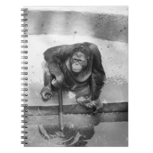 Orang-Utan Notizblock