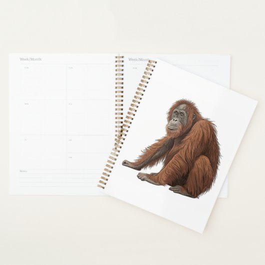 Orang-Utan Planer (Anzeige)