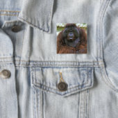 Orang-Utan Pongo Pygmaeus Button (Beispiel)