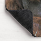 Orang-Utan Pongo Pygmaeus Mousepad (Ecke)