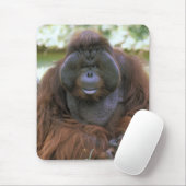 Orang-Utan Pongo Pygmaeus Mousepad (Mit Mouse)