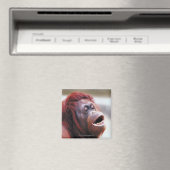 Orang-Utan-Portrait Magnet (In Situ (Geschirrspüler))