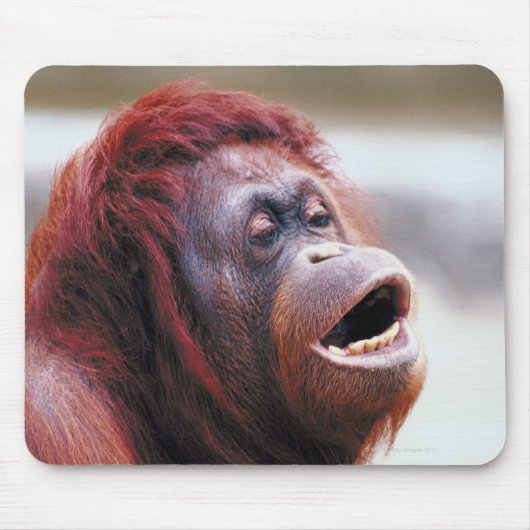 Orang-Utan-Portrait Mousepad (Vorne)