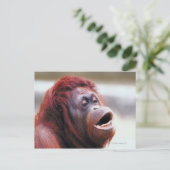 Orang-Utan-Portrait Postkarte (Stehend Vorderseite)