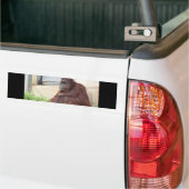 Orang-Utan Porträt Autoaufkleber (Auf Lkw)