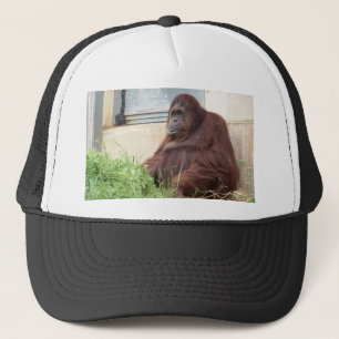 Orang-Utan Porträt Truckerkappe