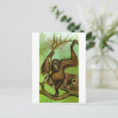 Orang-Utan Postkarte (Stehend Vorderseite)