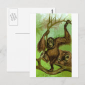 Orang-Utan Postkarte (Vorne/Hinten)