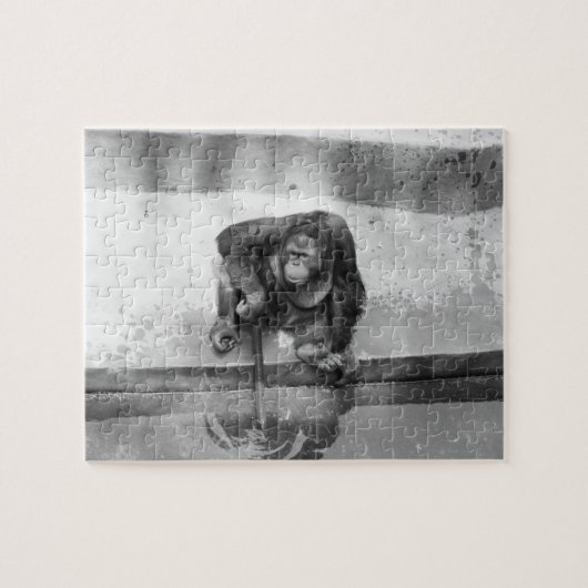 Orang-Utan Puzzle (Horizontal)