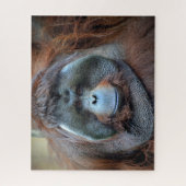 Orang-Utan Puzzle (Vertikal)