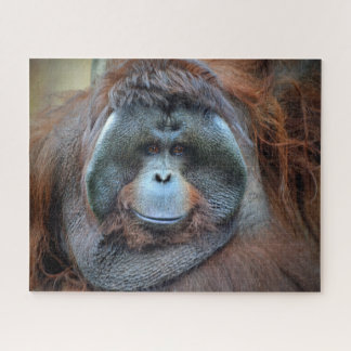 Orang-Utan Puzzle