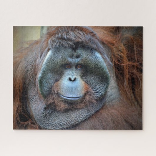 Orang-Utan Puzzle (Horizontal)