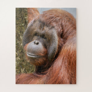 Orang-Utan Puzzle