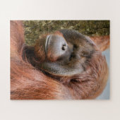 Orang-Utan Puzzle (Horizontal)
