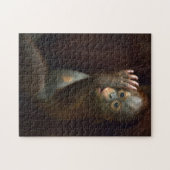 Orang-Utan Puzzle (Horizontal)